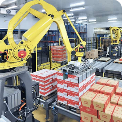 Bốc xếp bằng robot tự động
